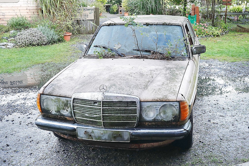 Mercedes 300 D Deutschlands grünster Diesel - Fahrkultur Gartenfund