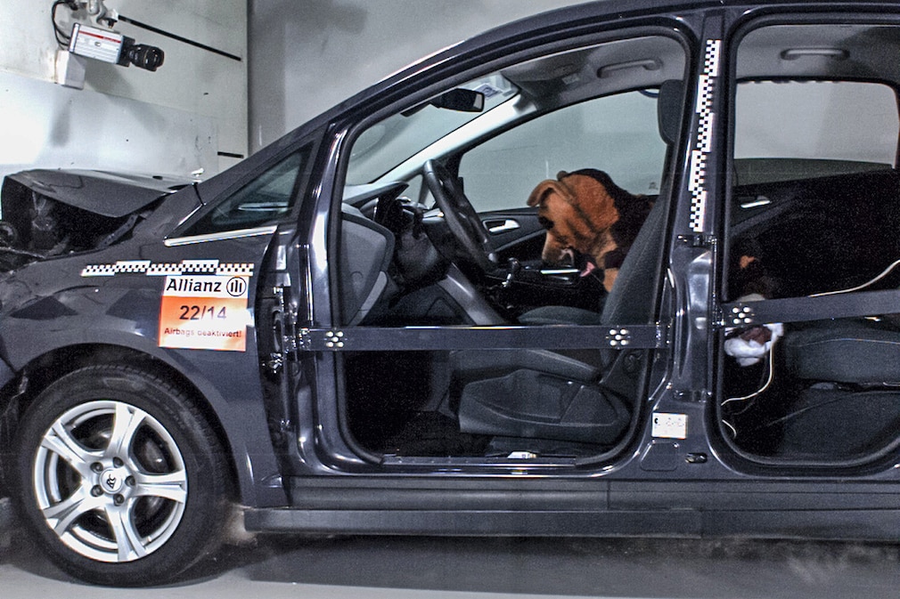 Allianz Crashtest mit Hunden