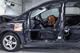 Allianz Crashtest mit Hunden
