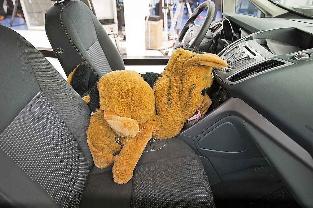 Allianz Crashtest mit Hunden