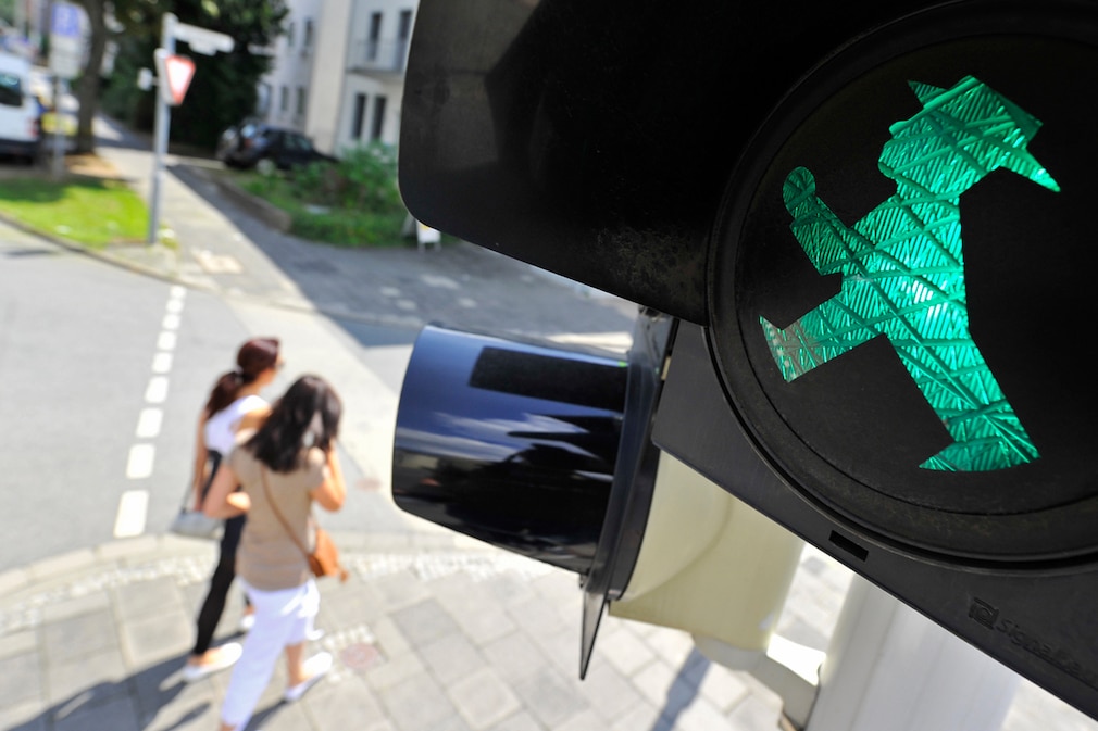 Ost-AmpelmÃ¤nnchen in Darmstadt