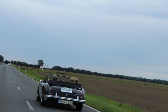 Von Straßenkreuzern und Segelbooten