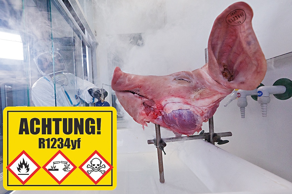 Achtung R1234yf Schweine Kopf Montage
