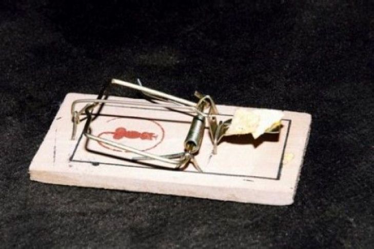 Winterschlaf Oldtimer