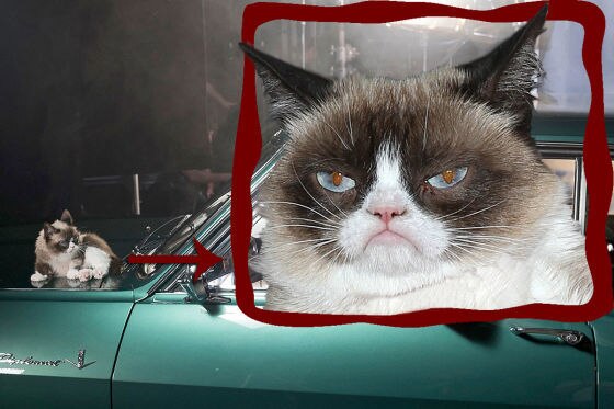 Opel: Kalender mit Grumpy Cat