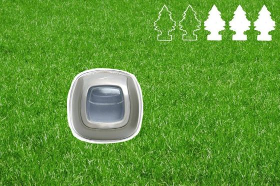 Der große Duftbaum-Test