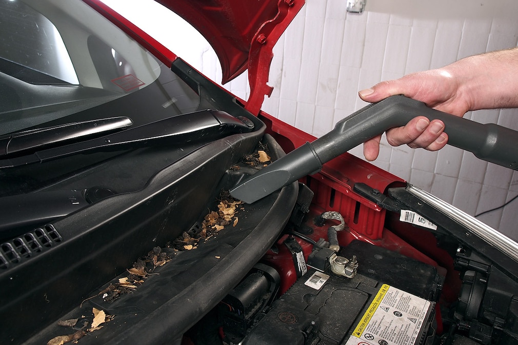 Laub kann die Ablauflöcher verstopfen darum bitte entfernen