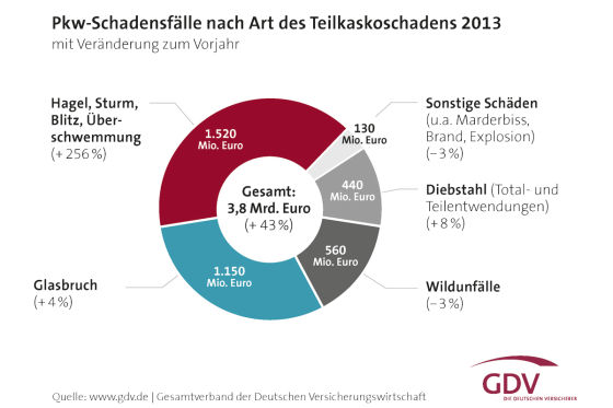 Pkw-Schadensfälle (Teilkasko) 2013