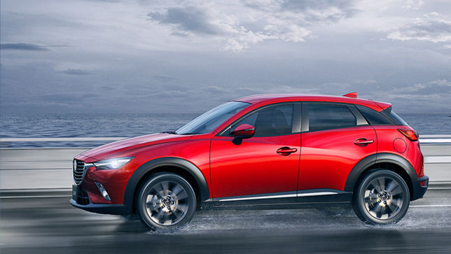 Der kleine Bruder aus LA