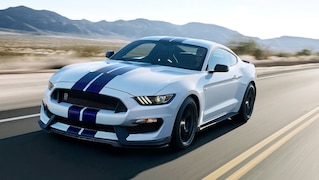Starker Mustang