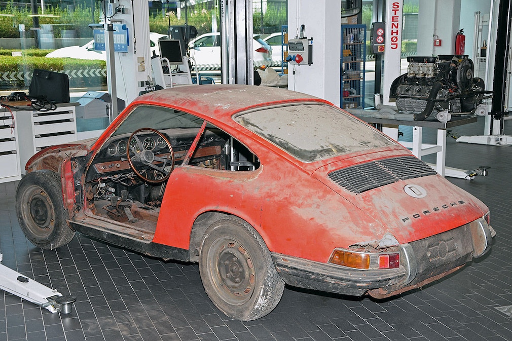 TV-Team entdeckt seltenen 901