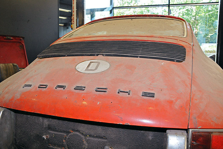 TV-Team entdeckt seltenen 901