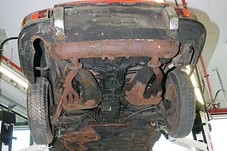 TV-Team entdeckt seltenen 901