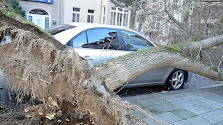 Sturmtiefs über Deutschland: Schäden an Autos