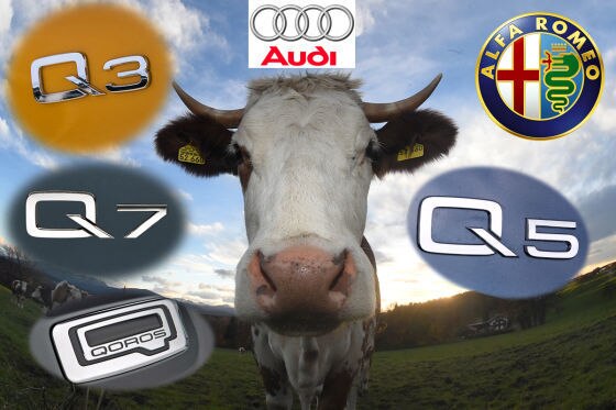 Montage zum Streit um die Namensgebung Q