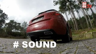 So brüllt der GT