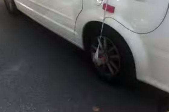 Rätselraten um angebliches Apple-Auto