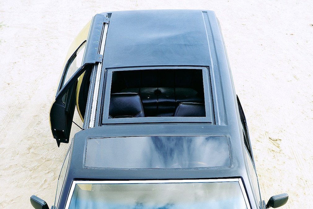 Der coolste Käfer: Brubaker Box