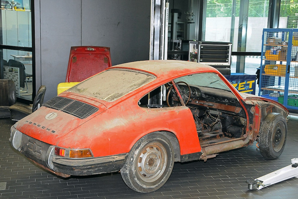 TV-Team entdeckt seltenen 901