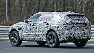 SUV-Raubkatze im Tarnkleid