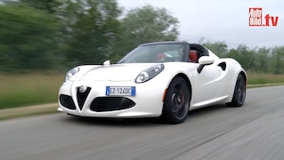 Sammlerstück 4C Spider