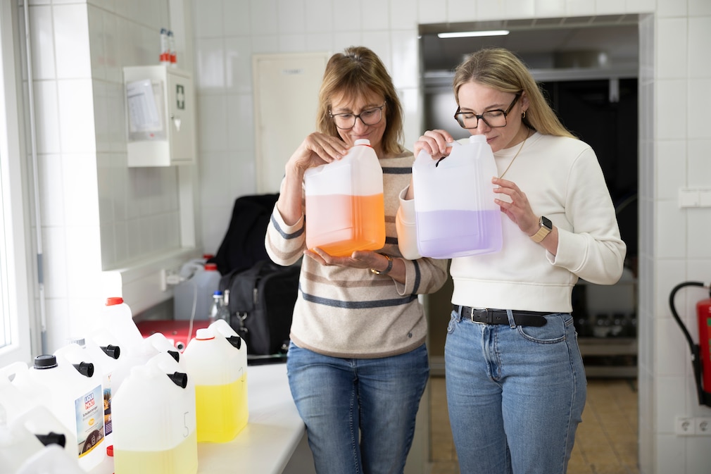Sommer-Scheibenreiniger im Test