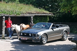 Ford Mustang GT Premium Cabrio