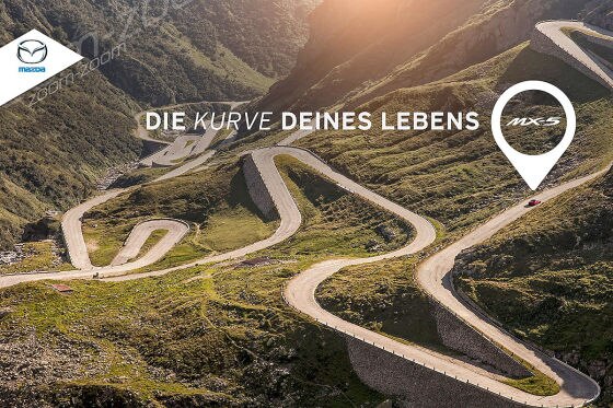Die Kurve Deines Lebens