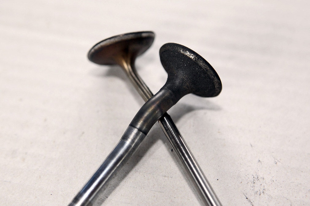 Ratgeber Technik - Steuerkette/Zahnriemen