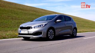 Der Golf-Gegner von Kia