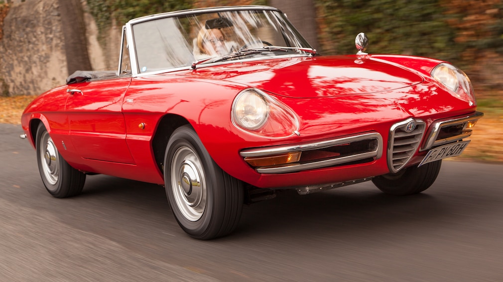 Alfa Romeo Spider Rundheck