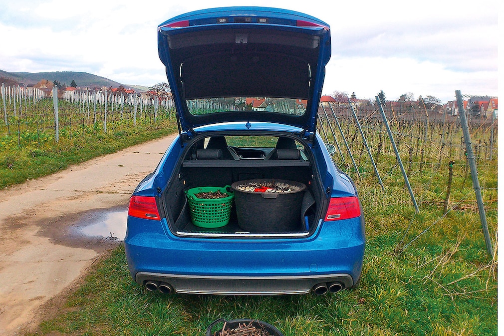 Audi S5 Sportback