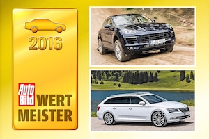Wertmeister 2016