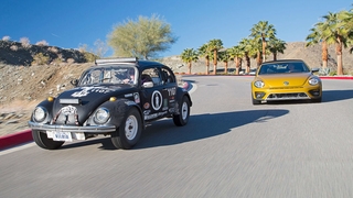 Im Knallbonbon auf Oldie-Jagd - US Tour im VW Beetle Dune