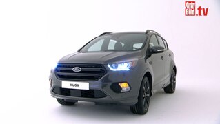 Kuga aufgepeppt
