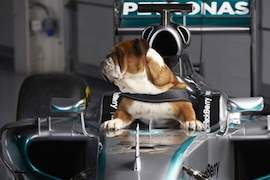 Mercedes