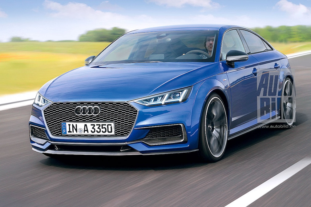 Neue Kompakt-Sportler (2019, 2020 und 2021) Neue Kompakt-Sportler (2019, 2020 und 2021)