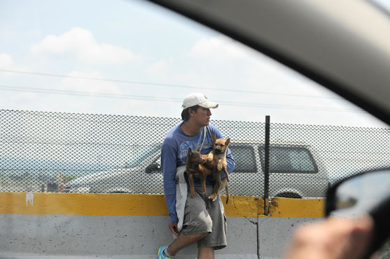 Hundeverkäufer am Straßenrand