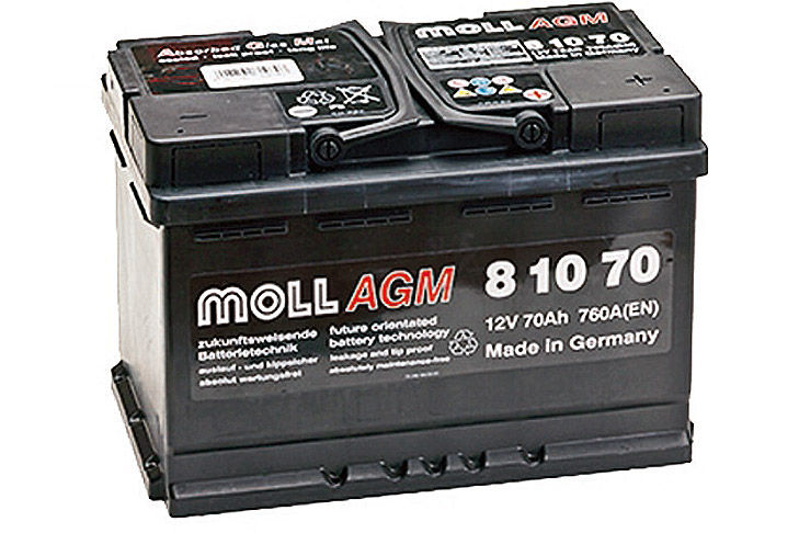Moll 81070