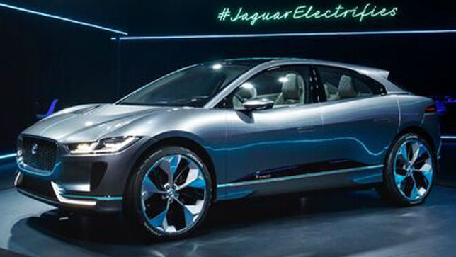 Das Elektro-Katzen-SUV