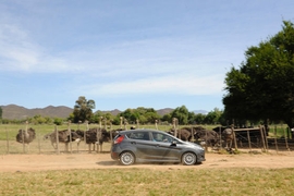 Partneraktion: Ford Leserreise