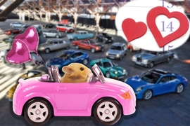 AUTO BILD-Topliste