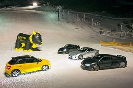 Audi S1 Audi R8 Jaguar F-Type Nissan GT-R