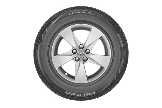 Ecorun AA von Falken