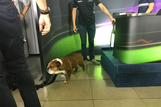 Roscoe