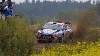 Rallye Italien: Ford erfolgreich