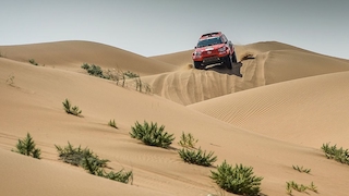 Silk Way Rallye: Despres siegt