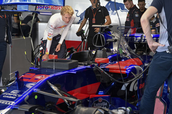 Toro Rosso