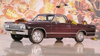 Riesiges Hornissennest im Chevrolet El Camino