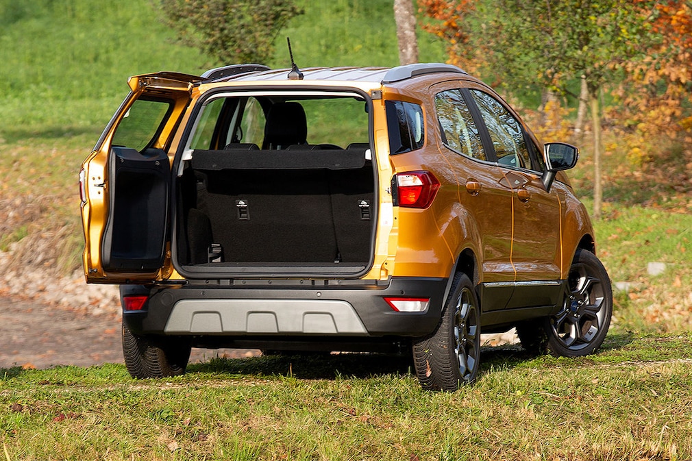 Kaufberatung Ford EcoSport